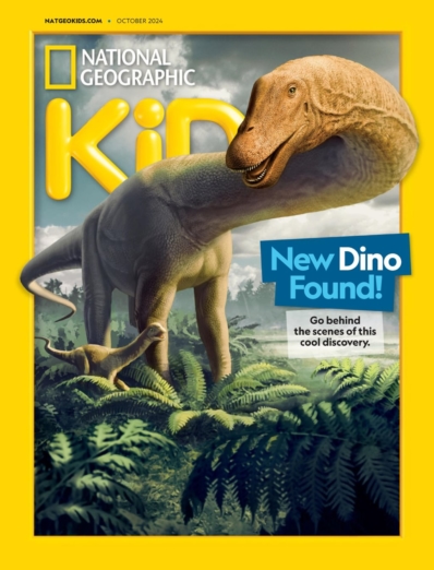 Product Cover